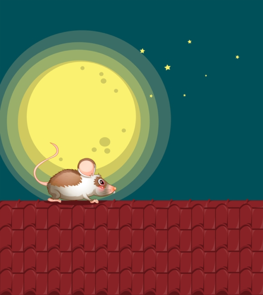 roof rats game app