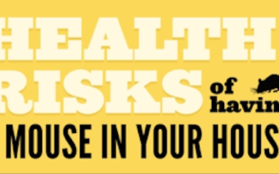 Health Risks of Having a Mouse in Your House [INFOGRAPHIC]