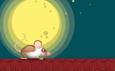 A Look at Roof Rats