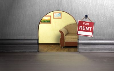 Essential Mouse Prevention Tips for Homeowners