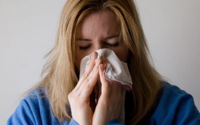 How a Mouse in the House Can Be Making Your Family Sick