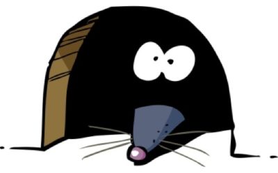 Getting the Facts About Mice