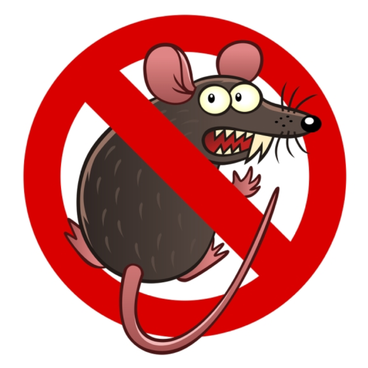 Rodent Control, Rat Removal, Mice Exterminator - One Two Tree