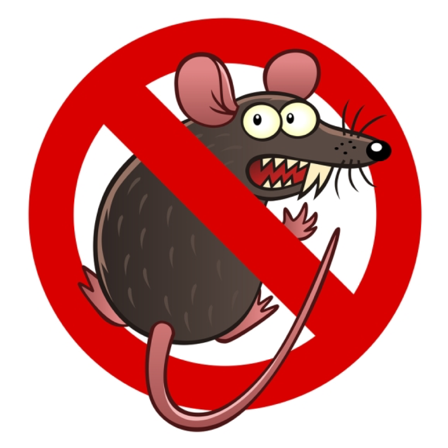 Mice exterminator online