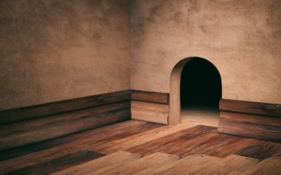 How Mice Get Into Your Home
