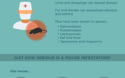 Little Mouse, Big Damage