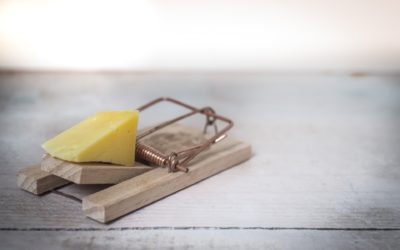 Reasons Why Winter Weather Sends Mice Indoors