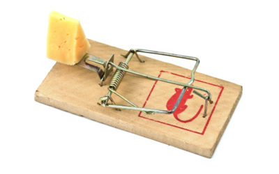 The Problems With DIY Mice Control Techniques