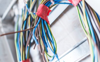Other Problems that Mice Infestations Bring With Them