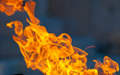 How the Risk of Fire Increases if You Have Mice in Your Home