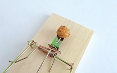4 Reasons To Avoid Snap-Traps