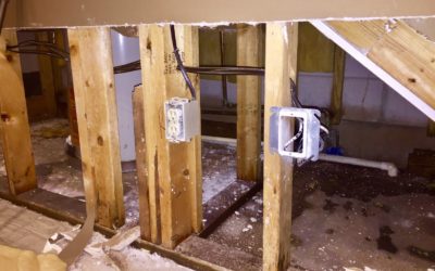 Can Mice Cause Structural Damage?