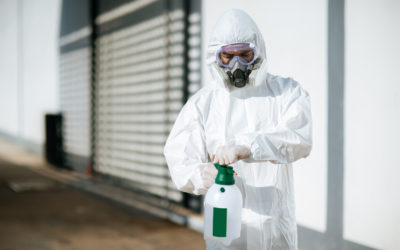 Decontaminating a Property After Mice Infestation