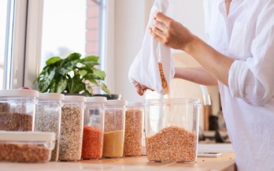Top Items in Your Home that Attract Mice