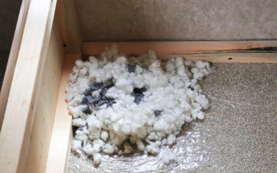 Is It One Mouse or Many?
