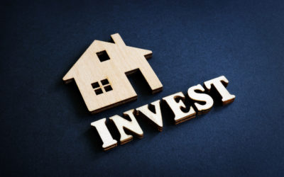 Why You Should Have an Investment Property Checked for Mice Infestation