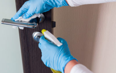 Disinfecting a Home After Mice Removal