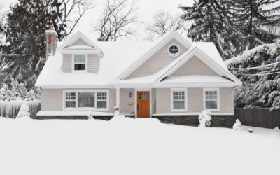 Freeze Out Pests with Proper Prevention