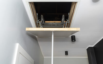 What’s That Scratching in the Attic?