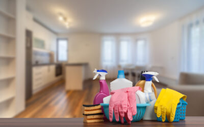 Why You Need Disinfection After Mice Removal