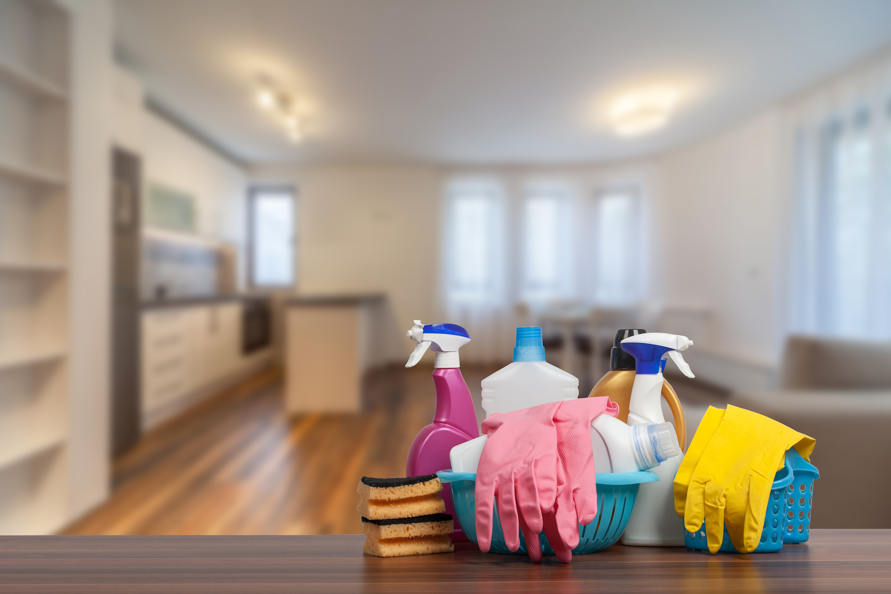 Why You Need Disinfection After Mice Removal Mice Mob Exterminators