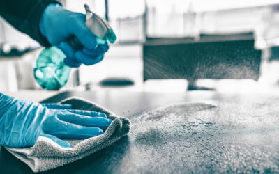 Is Disinfection Included with Mouse Extermination?
