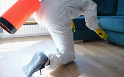 What Is Disinfection and Why Is It Important After a Rodent Infestation?