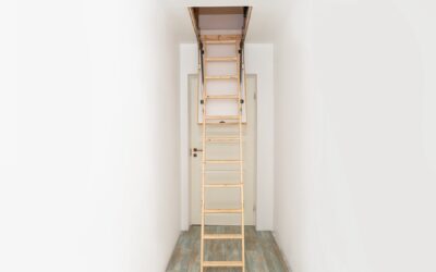 Dealing with Attic and Basement Mice: Special Approaches