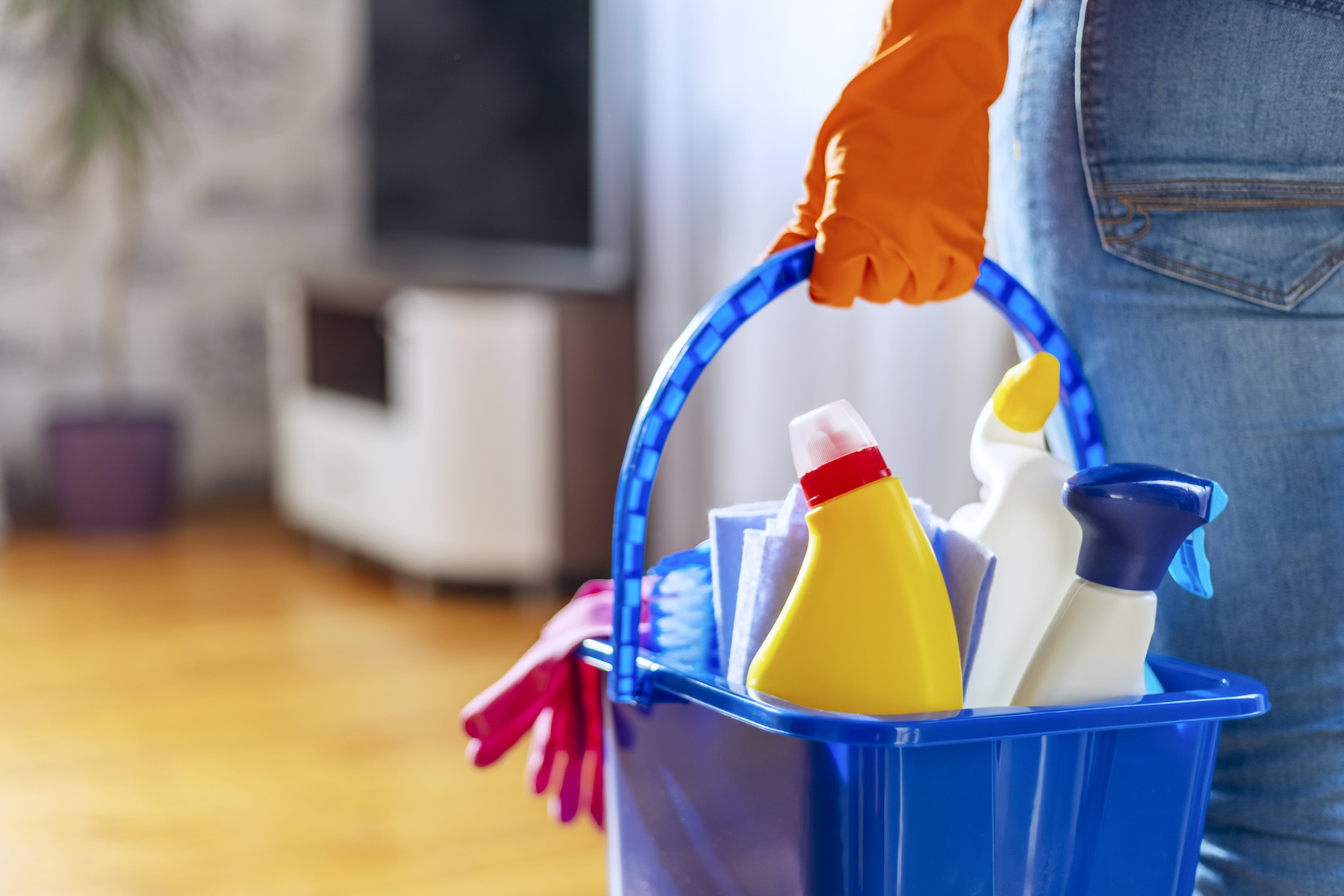 Tips for Cleaning Up After a Mouse Infestation Mice Mob Exterminators