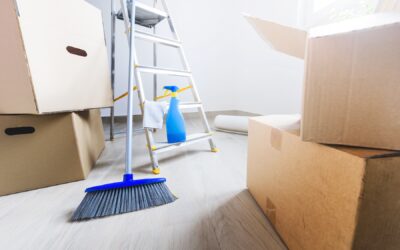 Mouse-Proofing Your Home Starts with These Tips