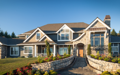 All About Mice: What to Do After the Exterminator Leaves