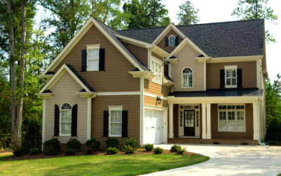 Sanitizing Your Home to Avoid Future Mice Infestations