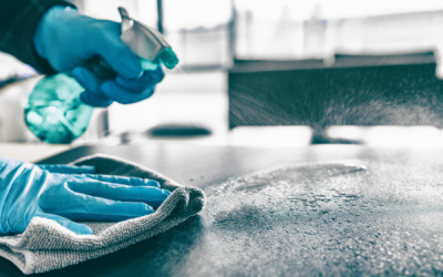 What to Do When You Find Mice Droppings in Your Kitchen Drawer