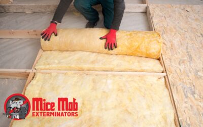 How Mice Can Compromise Your Home’s Insulation