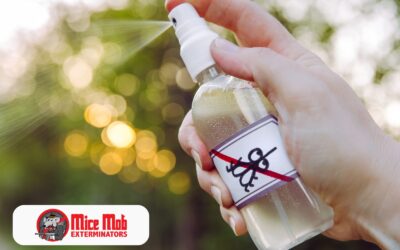 Do Natural Repellents for Mice Work?