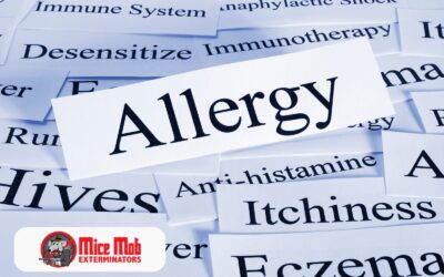 The Link between Mice and Allergies: What You Should Know