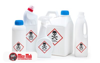 How to Safely Remove Mice Without Harmful Chemicals