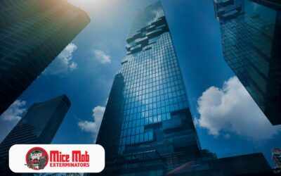 Rodent Control for Businesses: Protect Your Facility Today