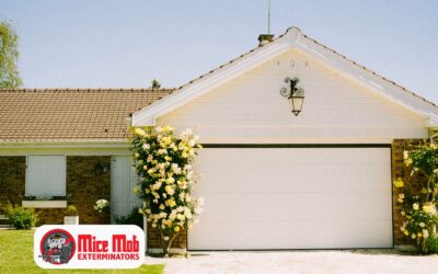 Effective Strategies to Prevent Mice from Entering Your Property