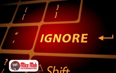 What Happens If You Ignore a Mouse Problem and the Cost of Doing Nothing