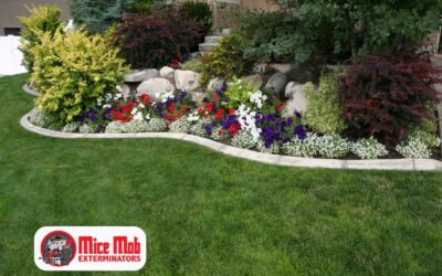 How Mice Use Your Landscaping to Access Your Home