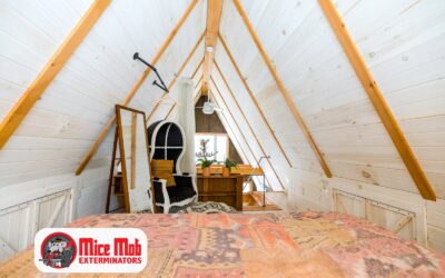 How to Spot and Stop Mice in the Attic During Winter