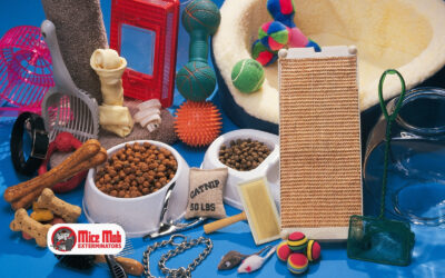 What to Know about Pet-Safe Pest Control