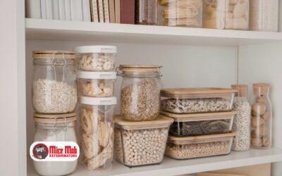 Best Pantry Storage Containers to Prevent Mice