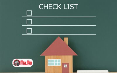 A Homeowner’s Checklist for Mouse-Proofing the Garage and Attic
