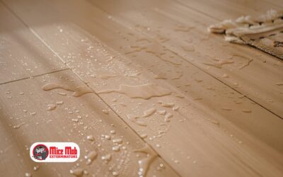 How Water Damage Increases Your Risk of a Mouse Infestation and What to Do Next
