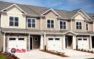 How to Prevent Mice in Condos and Townhomes