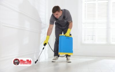Why Professional Mouse-Proofing Is an Investment, Not an Expense