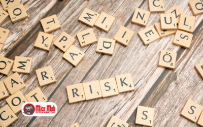 Is Hantavirus Really a Risk in My Home?